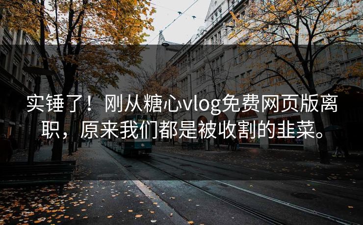 实锤了！刚从糖心vlog免费网页版离职，原来我们都是被收割的韭菜。
