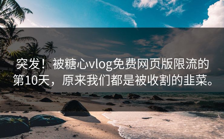 突发！被糖心vlog免费网页版限流的第10天，原来我们都是被收割的韭菜。