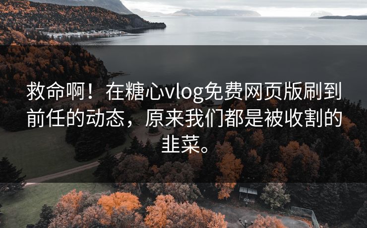 救命啊！在糖心vlog免费网页版刷到前任的动态，原来我们都是被收割的韭菜。